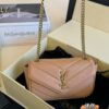 YSL new LouLou bag